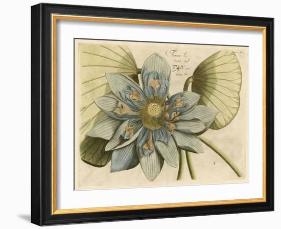 Blue Lotus Flower I-null-Framed Art Print