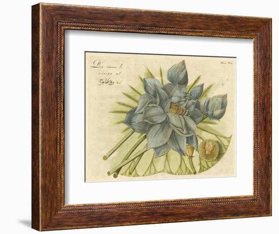 Blue Lotus Flower II-null-Framed Art Print