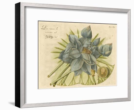 Blue Lotus Flower II-null-Framed Art Print