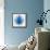 Blue Lotus-null-Framed Stretched Canvas displayed on a wall