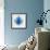 Blue Lotus-null-Framed Premium Giclee Print displayed on a wall