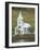 Blue Lutheran Church, Seydisfjordur Ferry Terminal Village, North East Area, Iceland, Polar Regions-Neale Clarke-Framed Photographic Print