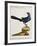 Blue Madagascar Cuckoo (Cuculus Madagascarienses Coeruleus)-null-Framed Giclee Print