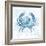 Blue Marble Coast Crab-null-Framed Art Print