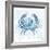 Blue Marble Coast Crab-null-Framed Art Print