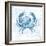 Blue Marble Coast Crab-null-Framed Art Print