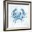 Blue Marble Coast Crab-null-Framed Art Print