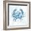 Blue Marble Coast Crab-null-Framed Art Print