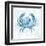 Blue Marble Coast Crab-null-Framed Art Print