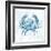 Blue Marble Coast Crab-null-Framed Art Print