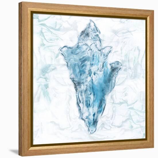 Blue Marble Coast Shell-null-Framed Stretched Canvas