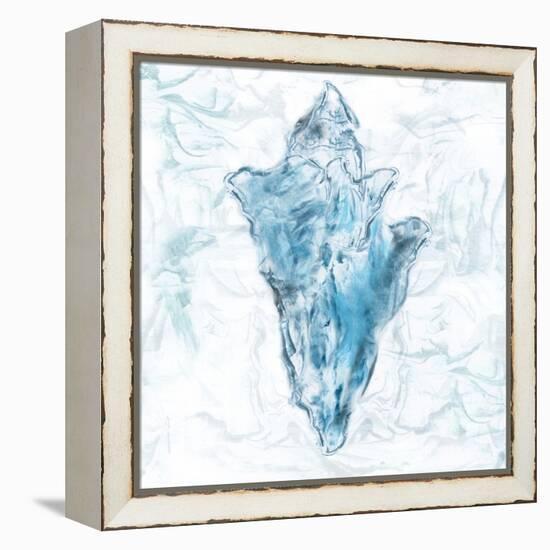 Blue Marble Coast Shell-null-Framed Stretched Canvas