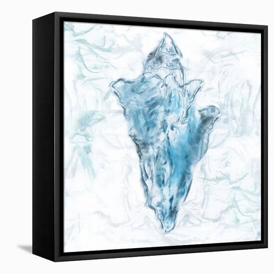 Blue Marble Coast Shell-null-Framed Stretched Canvas
