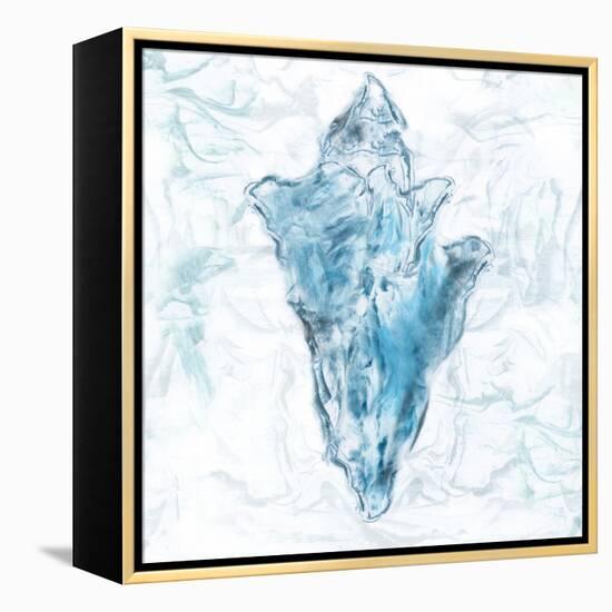 Blue Marble Coast Shell-null-Framed Stretched Canvas