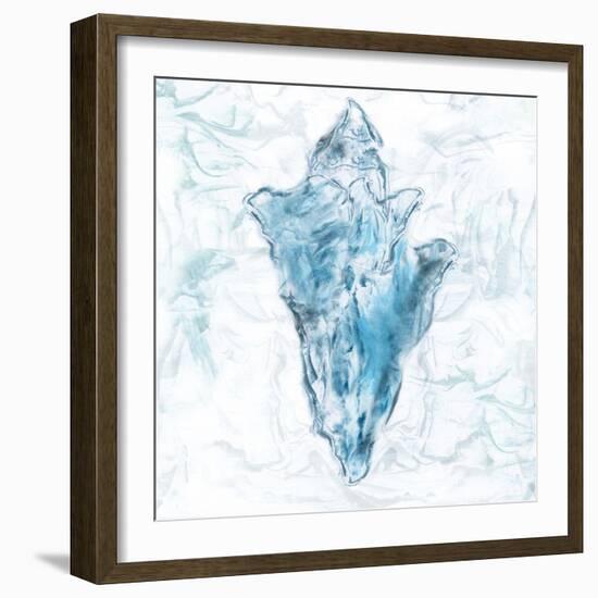 Blue Marble Coast Shell-null-Framed Art Print