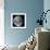Blue Marble Image of Earth (2005)-null-Framed Premium Photographic Print displayed on a wall