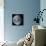 Blue Marble Image of Earth (2005)-null-Mounted Premium Photographic Print displayed on a wall