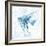 Blue Marble Tropical Fish-null-Framed Art Print