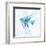 Blue Marble Tropical Fish-null-Framed Art Print