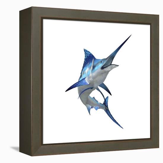 Blue Marli-null-Framed Stretched Canvas