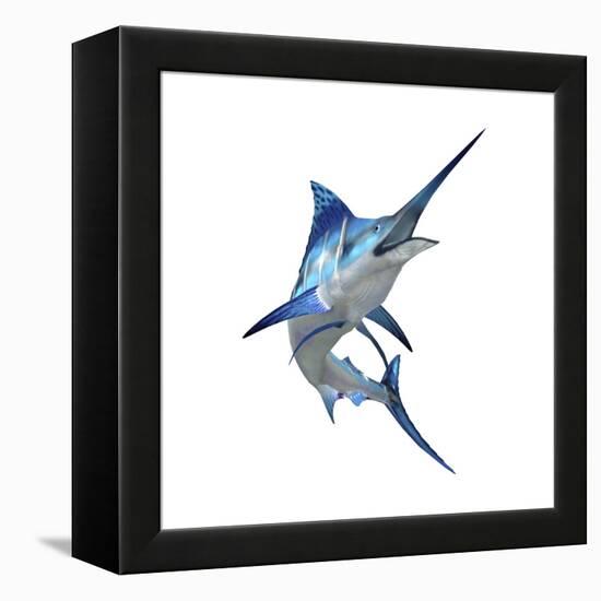 Blue Marli-null-Framed Stretched Canvas