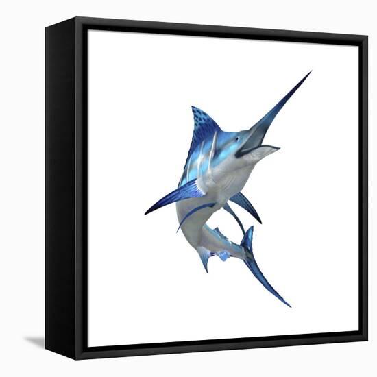 Blue Marli-null-Framed Stretched Canvas