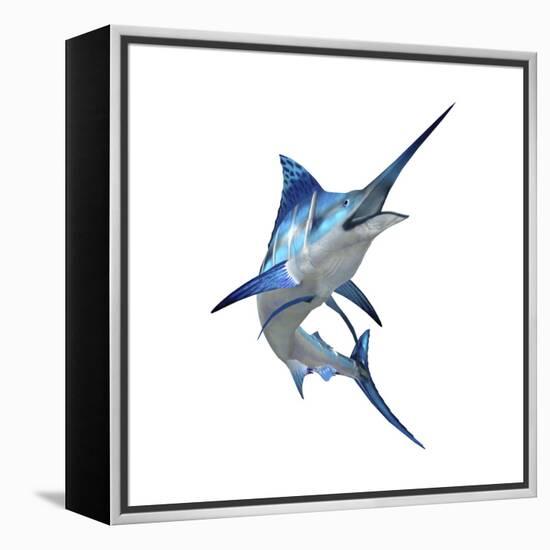 Blue Marli-null-Framed Stretched Canvas