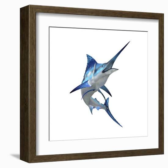 Blue Marli-null-Framed Art Print