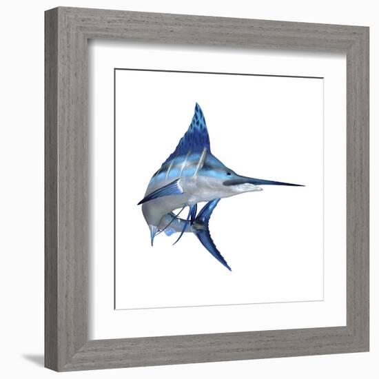 Blue Marlin-null-Framed Art Print