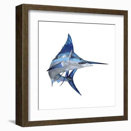 Blue Marlin-null-Framed Art Print