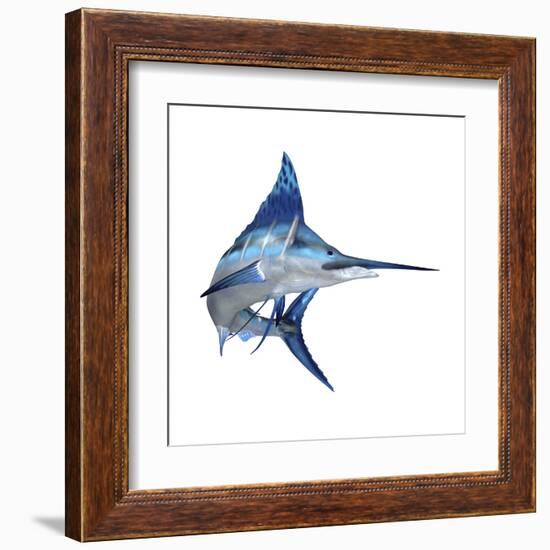 Blue Marlin-null-Framed Art Print