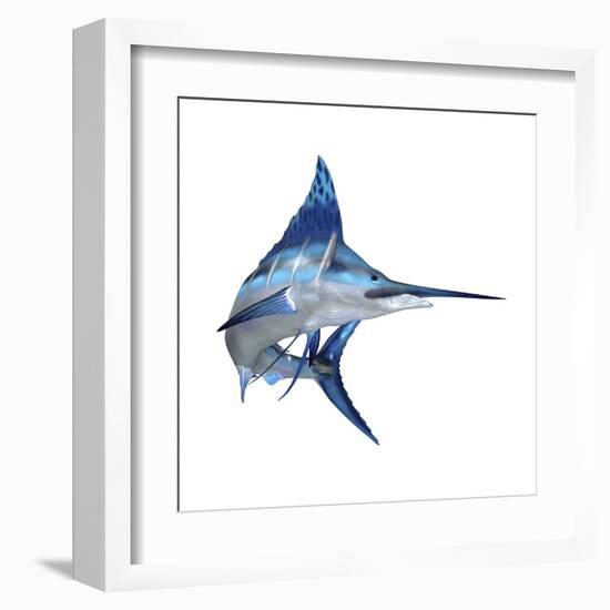 Blue Marlin-null-Framed Art Print