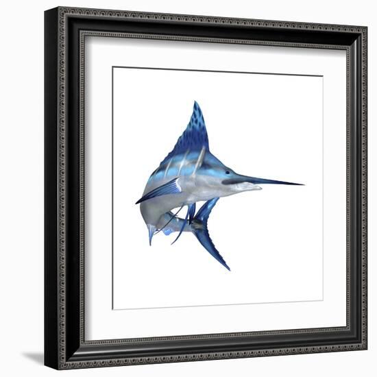 Blue Marlin-null-Framed Art Print