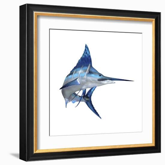 Blue Marlin-null-Framed Art Print