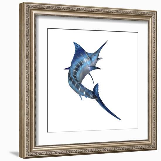 Blue Marlin-null-Framed Art Print