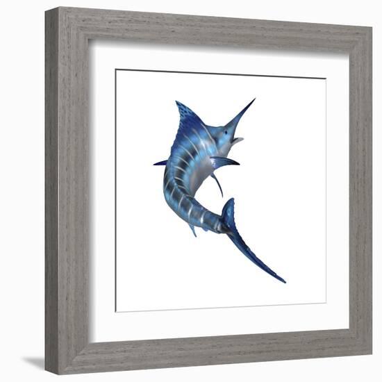 Blue Marlin-null-Framed Art Print