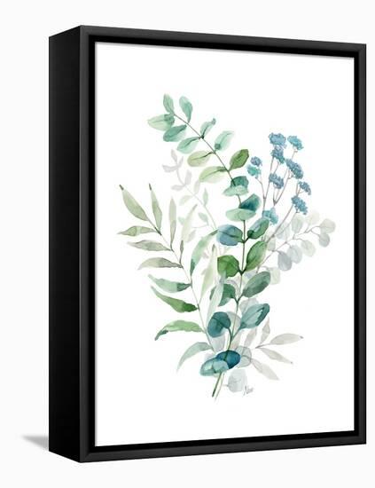 Blue Mist Eucalyptus II-null-Framed Stretched Canvas