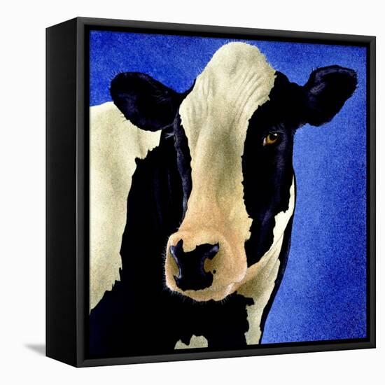 Blue Moo Moo-Will Bullas-Framed Premier Image Canvas