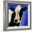 Blue Moo Moo-Will Bullas-Framed Giclee Print