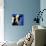 Blue Moo Moo-Will Bullas-Mounted Giclee Print displayed on a wall