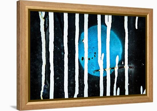 Blue Moon-Ursula Abresch-Framed Premier Image Canvas