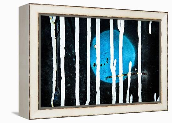 Blue Moon-Ursula Abresch-Framed Premier Image Canvas