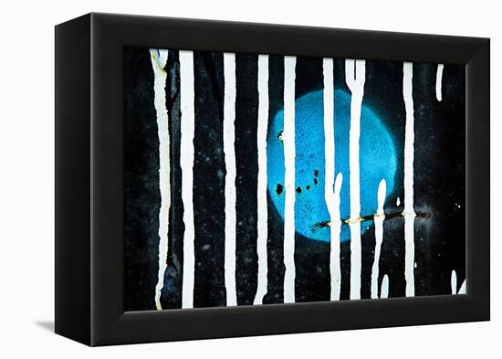 Blue Moon-Ursula Abresch-Framed Premier Image Canvas