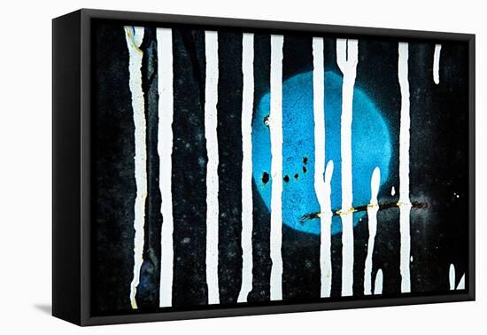 Blue Moon-Ursula Abresch-Framed Premier Image Canvas