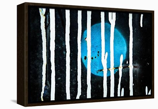 Blue Moon-Ursula Abresch-Framed Premier Image Canvas