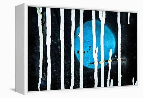 Blue Moon-Ursula Abresch-Framed Premier Image Canvas