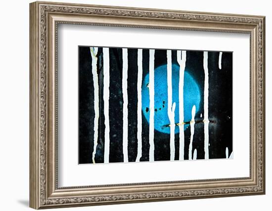 Blue Moon-Ursula Abresch-Framed Photographic Print