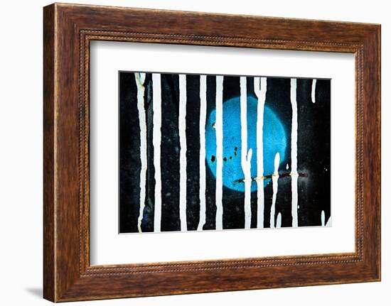 Blue Moon-Ursula Abresch-Framed Photographic Print