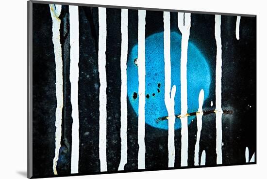 Blue Moon-Ursula Abresch-Mounted Photographic Print