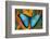 Blue Morpho Butterfly on Heliconia tropical flower-Darrell Gulin-Framed Photographic Print